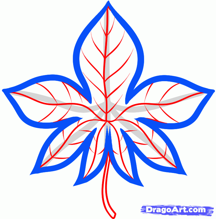 694x704 How To Draw An Autumn Leaf, Step