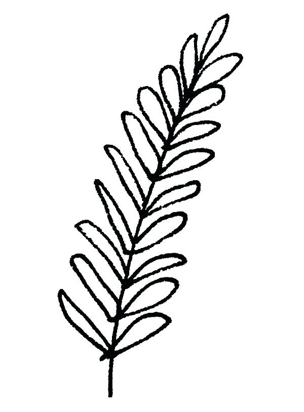 600x814 Drawing Leaf