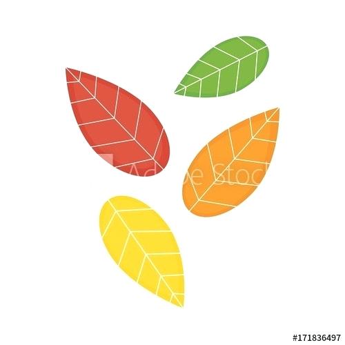500x500 How To Draw Fall Leaves Step