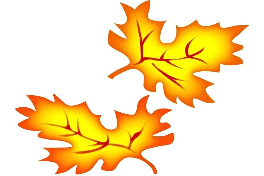 900x600 Autumn Leaf Drawing Autumn Leaf Is Falling Down Fall Foliage