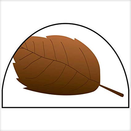 425x425 semicircle doormat isolated fall leafh xd