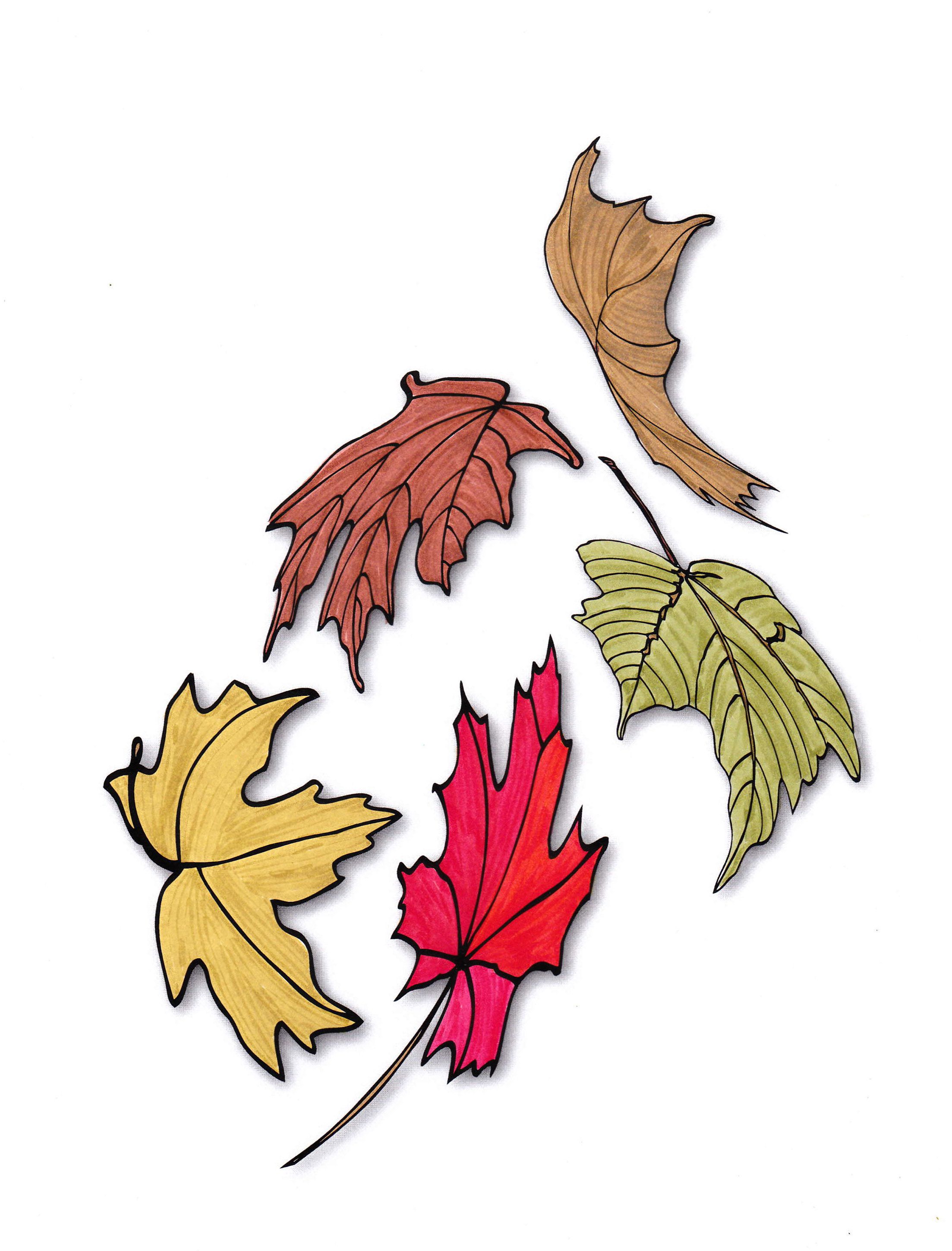 2206x2898 Lovely Leisure Coloring Book Autumn Drawings Autumn Leaf