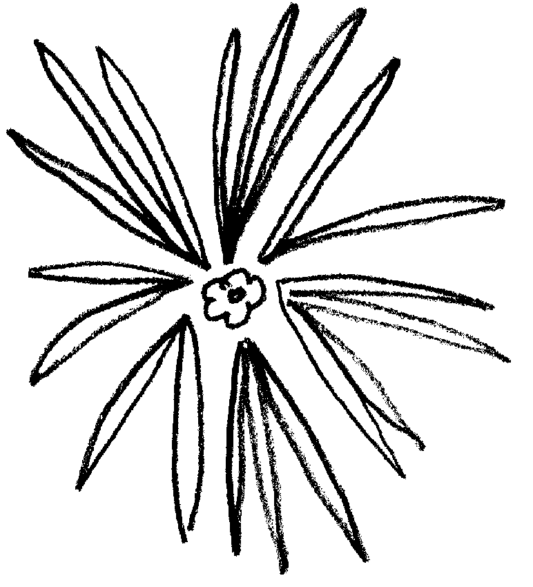 772x850 Essential Oils For Change Of Season Summer To Fall H Gillerman