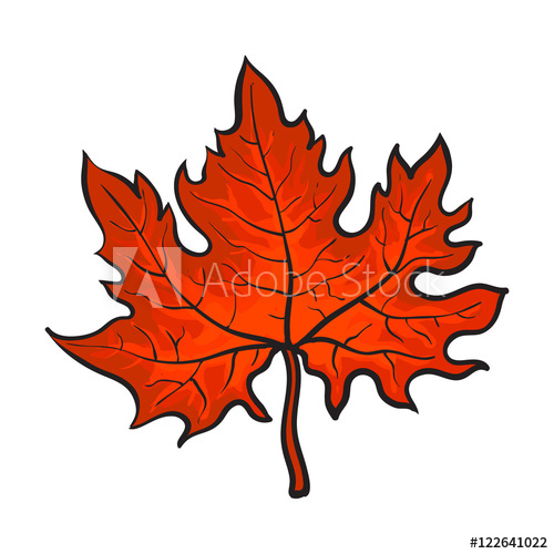 500x500 Beautiful Red Colored Autumn Maple Leave, Vector Illustration