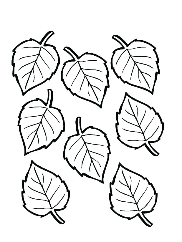 618x822 Coloring Pages Autumn Leaves Fall Coloring Pages For Adults Tree