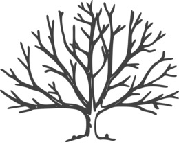 260x220 Download Fall Tree Clipart Fall Tree Clip Art