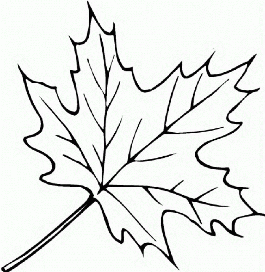 918x942 Autumn Drawing Maple Tree For Free Download