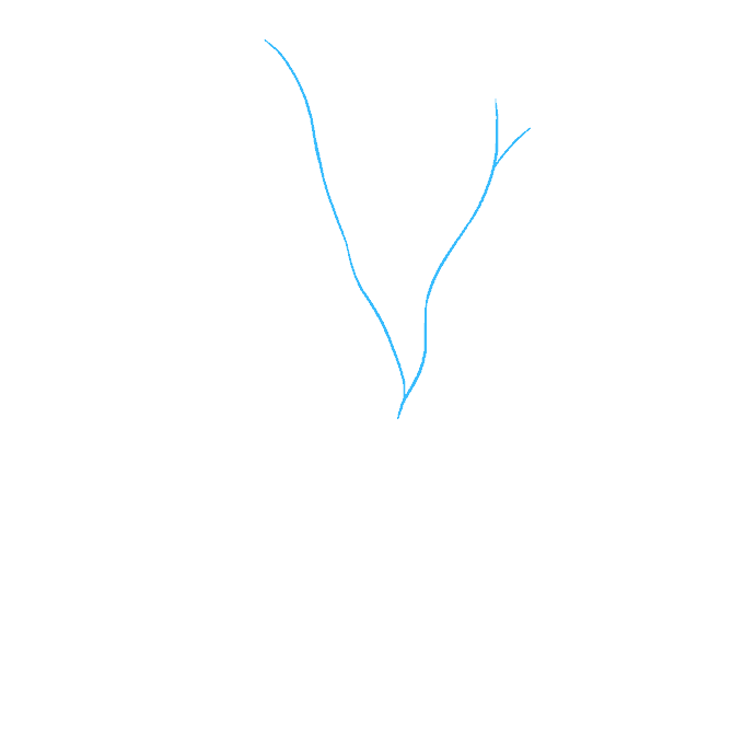 680x678 How To Draw A Fall Tree