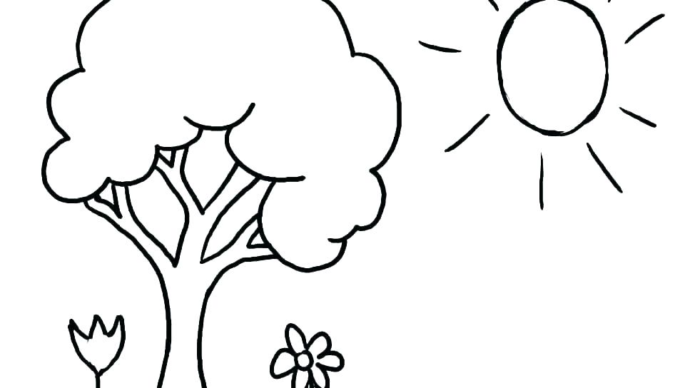 960x544 Autumn Tree Coloring