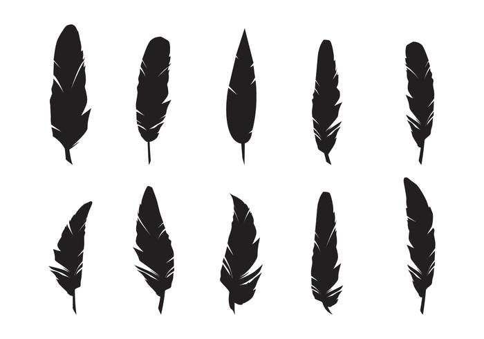 700x490 Feather Free Vector Art