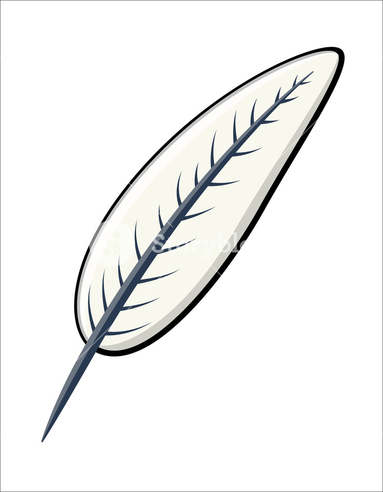 779x1000 Feathers Vector Royalty Free Stock Image