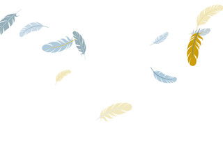 320x240 Search Photos Feather Flying