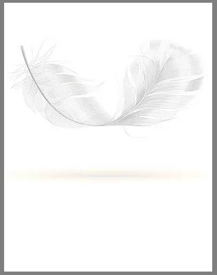 317x401 Yoga Props Yoga Mats Falling White Feather