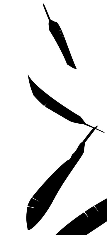 365x800 Crow Feather Clipart, Explore Pictures