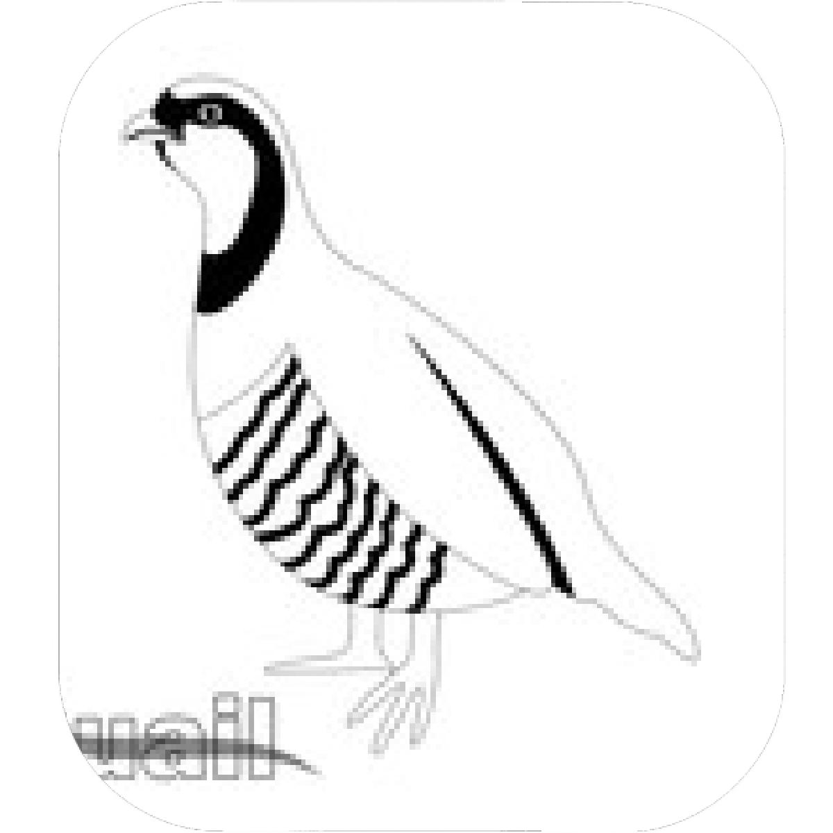 1200x1200 Designs Mein Mousepad Design Mousepad Selbst Designen