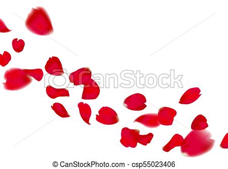450x334 Red Sakura Or Rose Falling Petals On Transparent Background