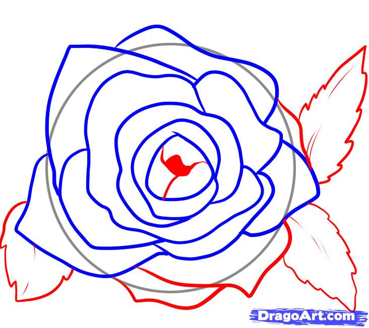 Falling Rose Petals Drawing | Free download on ClipArtMag