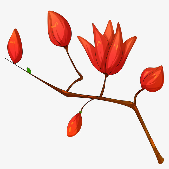 650x651 Antique Chinese Style Autumn White Magnolia Flower Petals Red