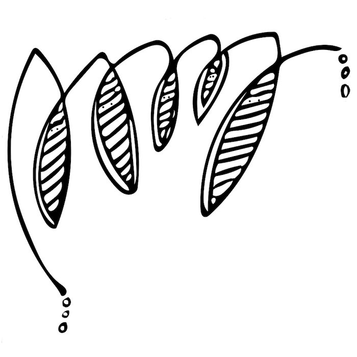 700x700 Megan Hustmyer