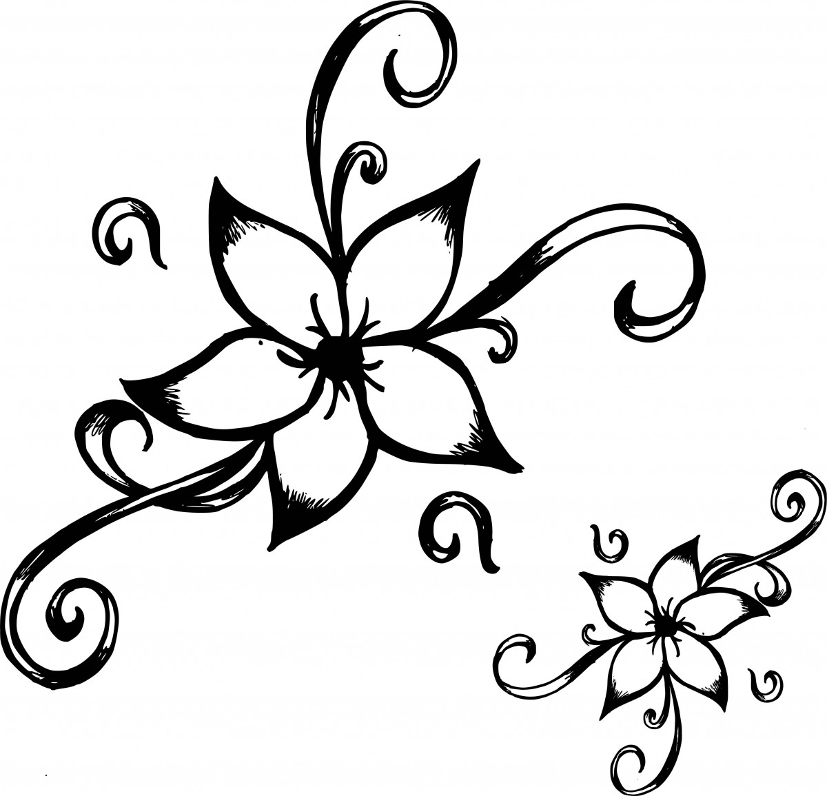 1200x1155 Image Fame Image Detail