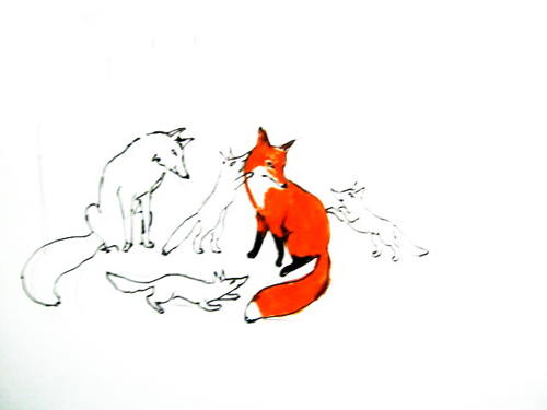 500x375 Fox Coloring Pages