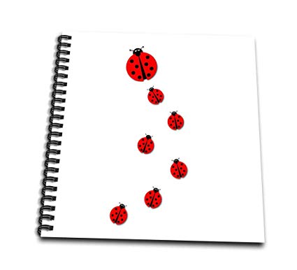 425x386 Ladybugs Family Walking On White Background