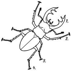 236x236 Best Family Reunion Images Coloring Pages, Coloring Pages