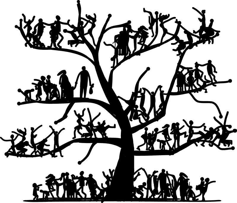 800x684 Family Tree Clipart Sketch Tree People