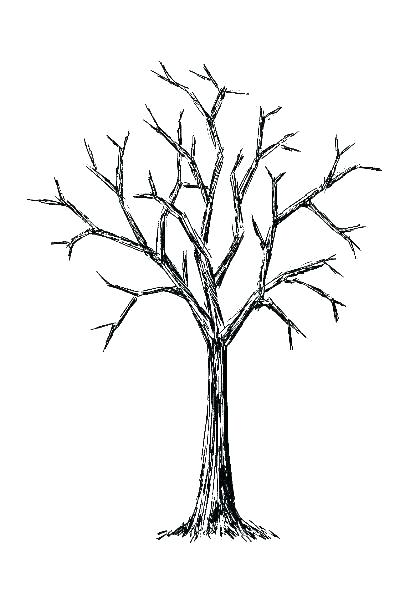 Family Tree Drawing | Free download on ClipArtMag