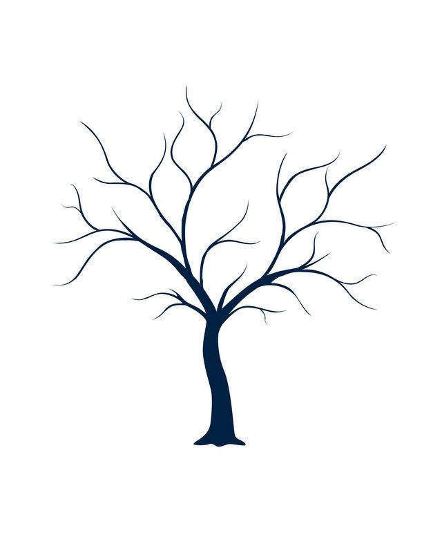 640x800 Family Tree Clipart Archives