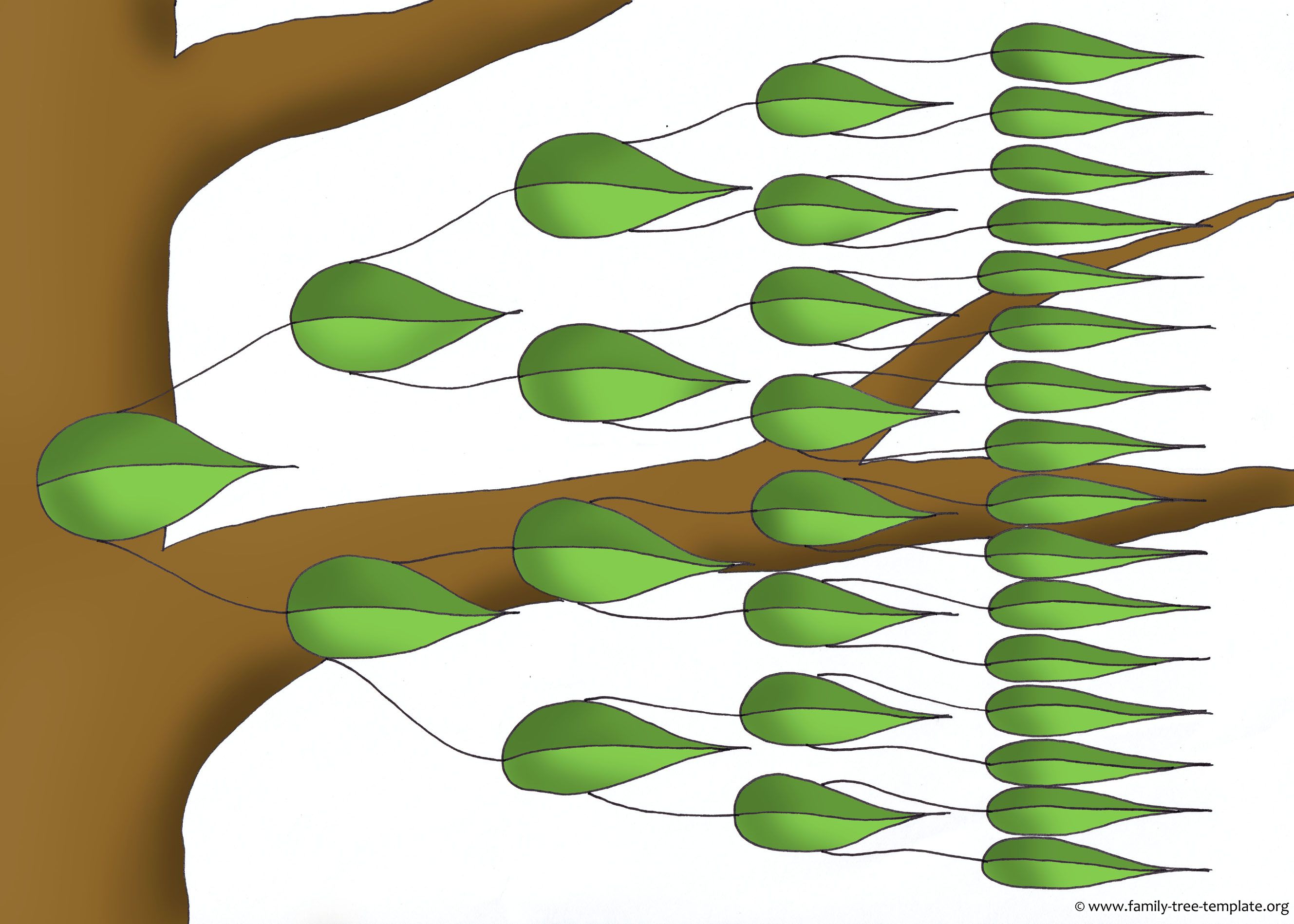 Family Tree Drawing Free