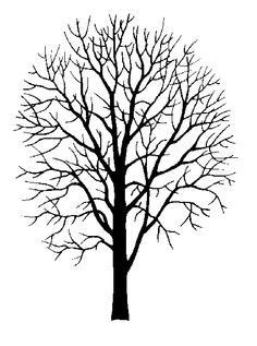 236x317 Best Family Tree Wall Images Painted Trees, Drawing Trees