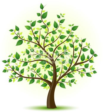 Family Tree Drawing Ideas | Free download on ClipArtMag