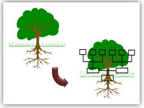 480x361 Creative Powerpoint Tree Diagrams
