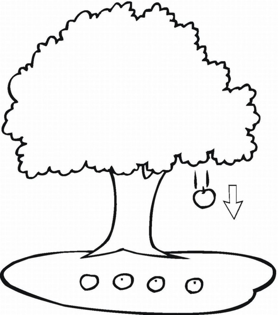 940x1062 Family Tree Clip Art Color