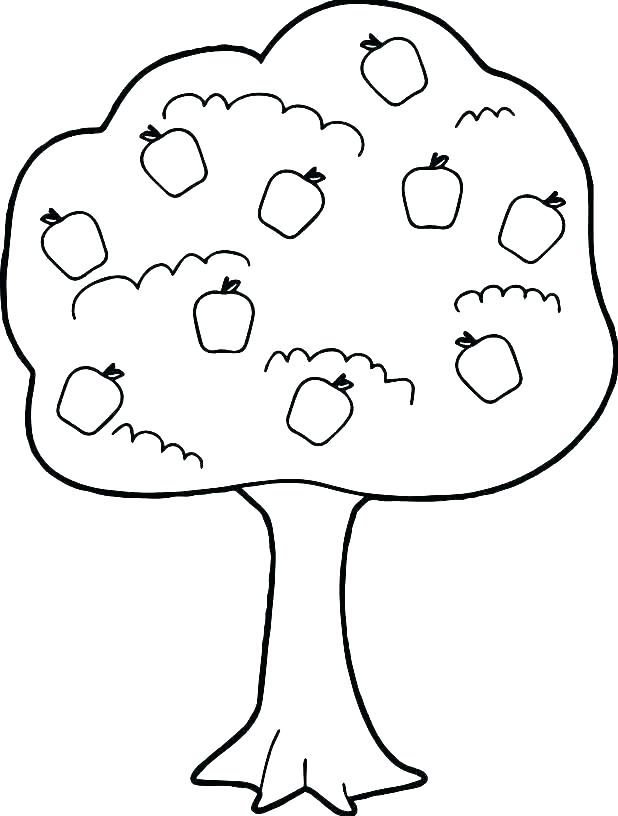 618x816 Family Tree Coloring