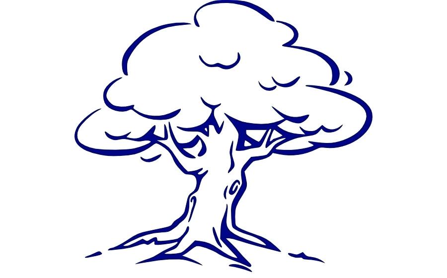 900x560 Tree Outline Image Image Family Tree Drawing Images