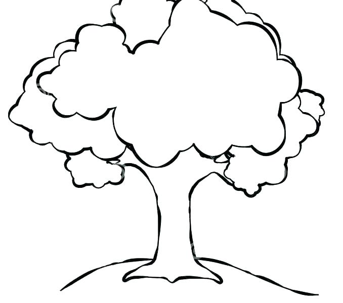 678x600 Coloring Pages Of Apple Trees