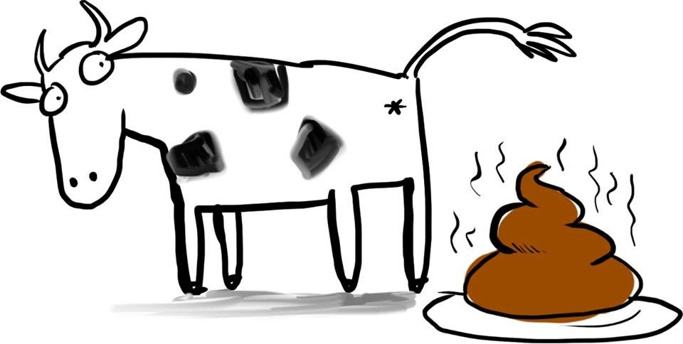 960x484 when famous people hate you