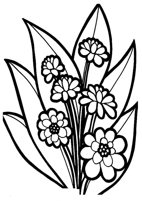 600x849 Fancy Flower Bouquet Coloring