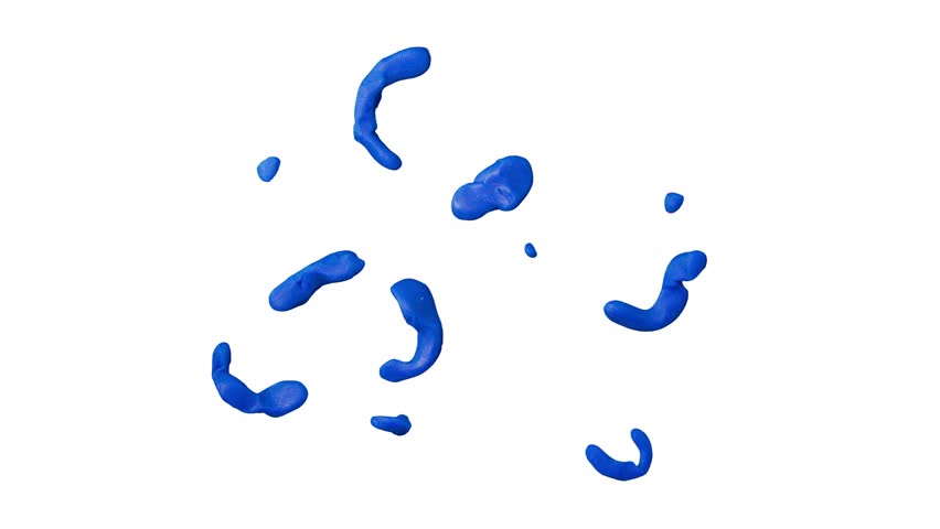 852x480 Pow Wow Stock Video Footage