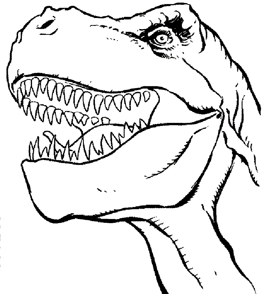 900x1012 Fangs Clipart Dinosaur
