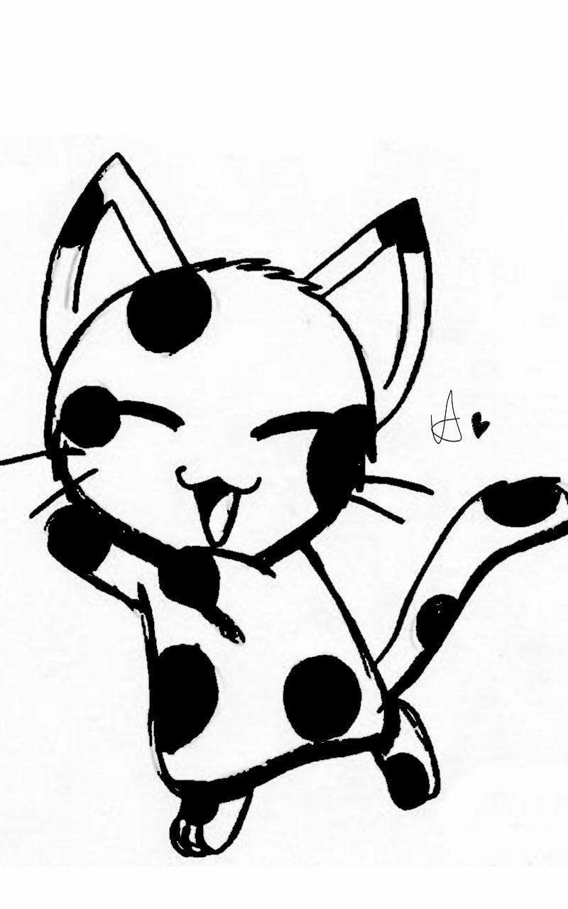 800x1280 Xd Pleasecomment Cat Fanny Sweetcat