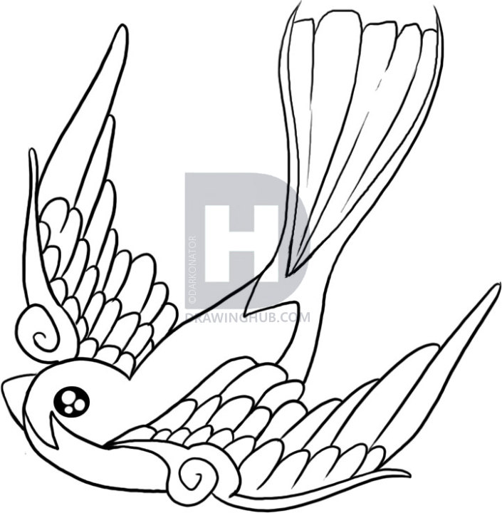 705x720 How To Draw A Swallow, Step