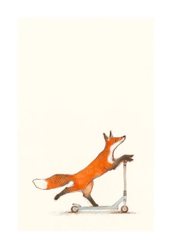 564x816 A Little Bit Of Fun In Fox