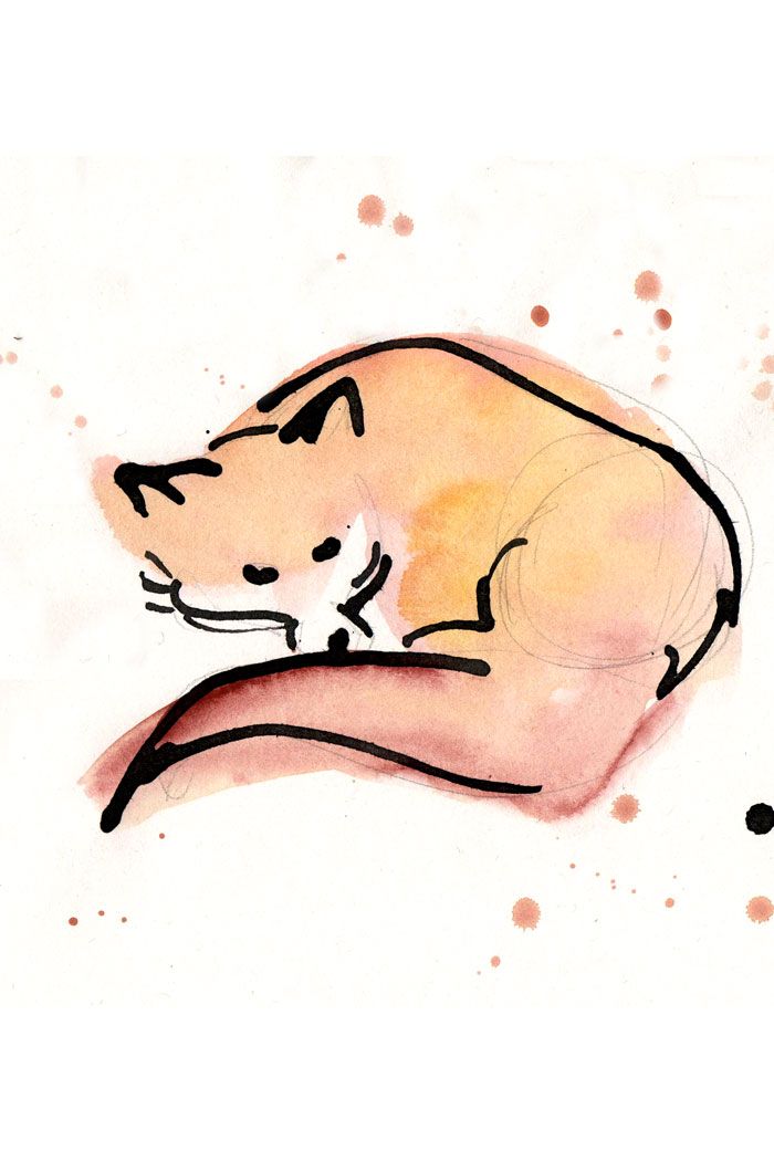 700x1050 Fox Illustration Foxes, Wolves Woodland Creatures