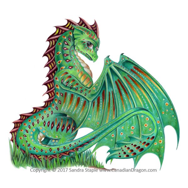 600x600 Dragon And Fantasy Art