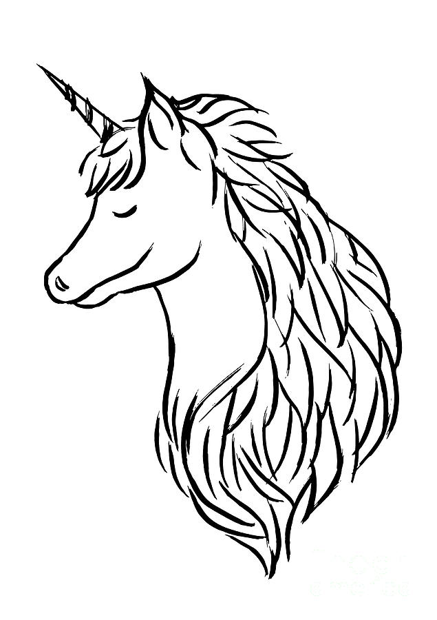 635x900 Unicorn Hand Drawing Sketck Doodle Fantasy Illustration Design
