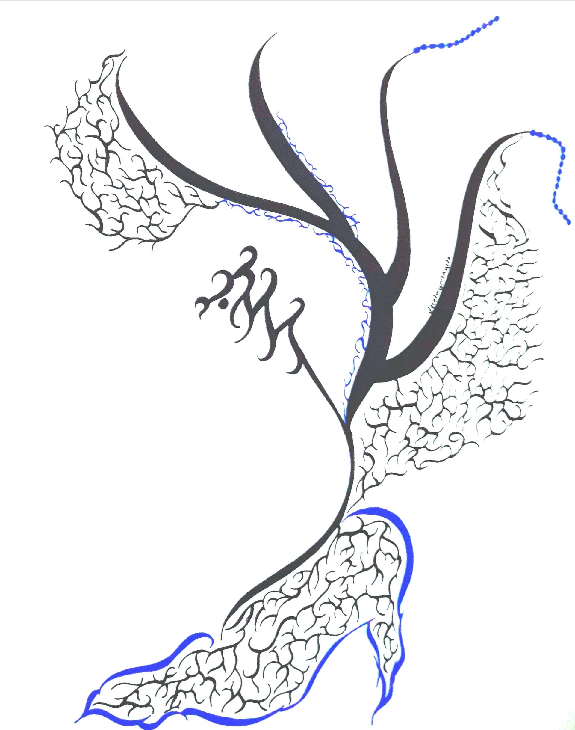 1920x2436 Dragon Drawing