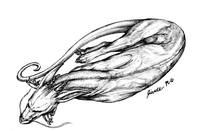 743x446 Sleeping Dragon Drawing Drawing Skill